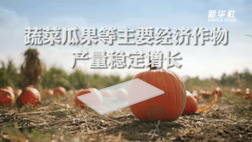 数说新时代|主要农产品供给更加充裕 居民餐桌更加丰富 数说新时代|主要农产品供给更加充裕 居民餐桌更加丰富