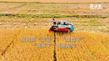 数说新时代|主要农产品供给更加充裕 居民餐桌更加丰富 数说新时代|主要农产品供给更加充裕 居民餐桌更加丰富