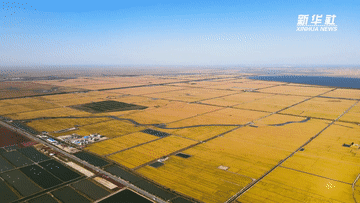 数说新时代|主要农产品供给更加充裕 居民餐桌更加丰富 数说新时代|主要农产品供给更加充裕 居民餐桌更加丰富