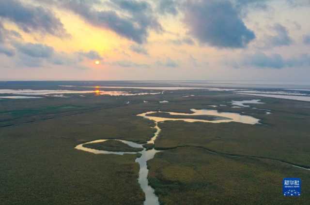 大美湿地城市|盐城 大美湿地城市|盐城