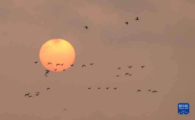 大美湿地城市|盐城 大美湿地城市|盐城