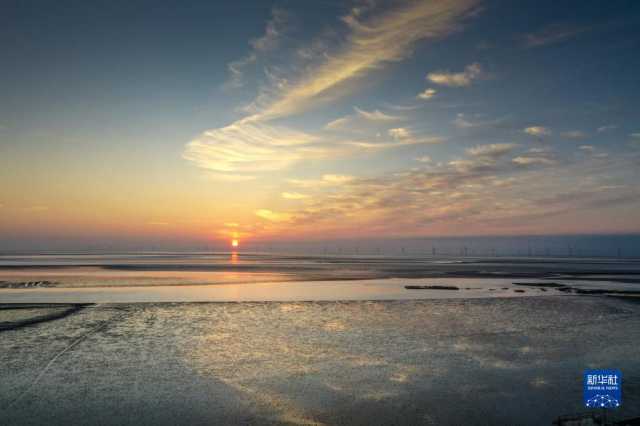 大美湿地城市|盐城 大美湿地城市|盐城
