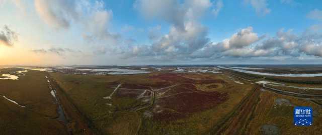 大美湿地城市|盐城 大美湿地城市|盐城