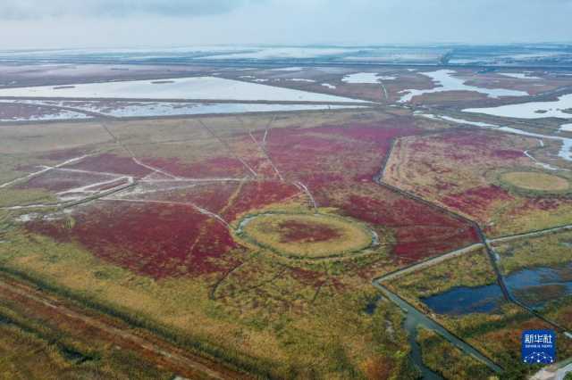 大美湿地城市|盐城 大美湿地城市|盐城