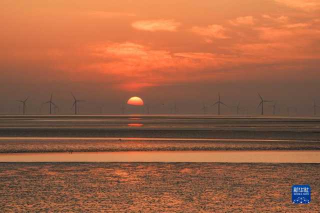 大美湿地城市|盐城 大美湿地城市|盐城