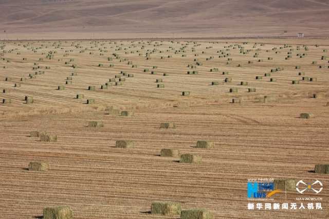 【“飞阅”中国】山丹马场初冬别样“丰”景 【“飞阅”中国】山丹马场初冬别样“丰”景