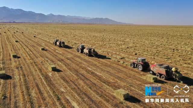 【“飞阅”中国】山丹马场初冬别样“丰”景 【“飞阅”中国】山丹马场初冬别样“丰”景