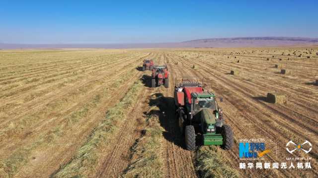 【“飞阅”中国】山丹马场初冬别样“丰”景 【“飞阅”中国】山丹马场初冬别样“丰”景