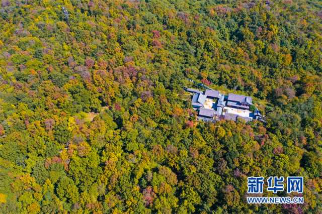 【“飞阅”中国】南京栖霞山：“彩枫”斑斓 如诗如画