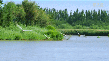 新华全媒+|来看西北“国际湿地城市”的湖光水色 新华全媒+|来看西北“国际湿地城市”的湖光水色