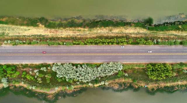 新华全媒+丨“塞上湖城”银川:湿地生态好 候鸟纷纷来 新华全媒+丨“塞上湖城”银川:湿地生态好 候鸟纷纷来