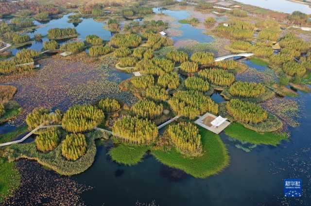 大美湿地城市丨南昌