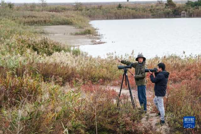新华全媒＋丨江苏盐城：湿地珍禽守护人