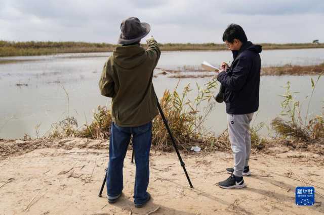 新华全媒＋丨江苏盐城：湿地珍禽守护人