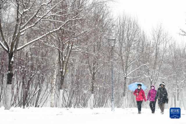 吉林省迎来大范围降雪