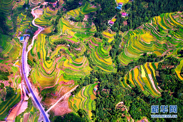 【“飞阅”中国】田园画卷里的“振兴之路”