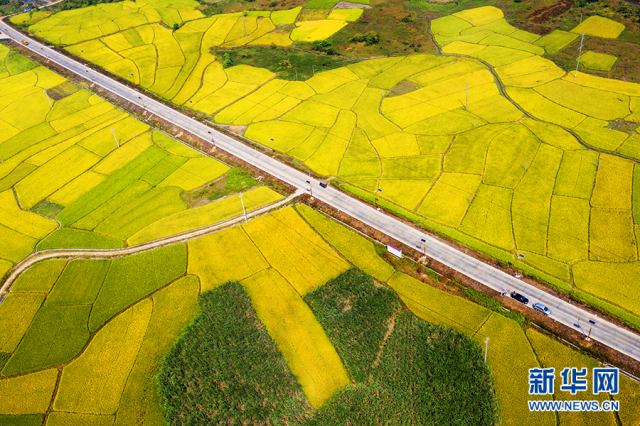 【“飞阅”中国】田园画卷里的“振兴之路”