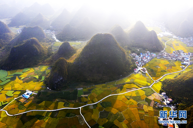 【“飞阅”中国】田园画卷里的“振兴之路”