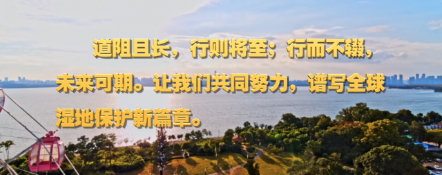 微视频丨共生之美 微视频丨共生之美