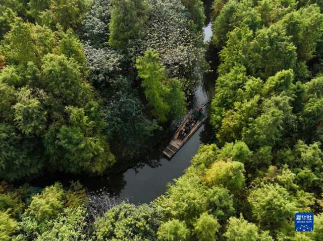 大美湿地城市丨常熟 大美湿地城市丨常熟