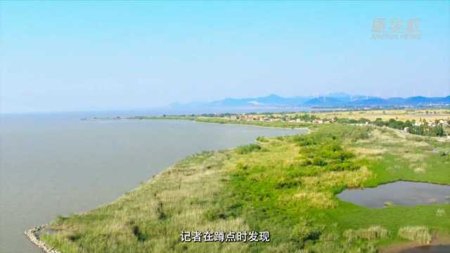 感受发展新脉动|直击巢湖生态之变 感受发展新脉动|直击巢湖生态之变