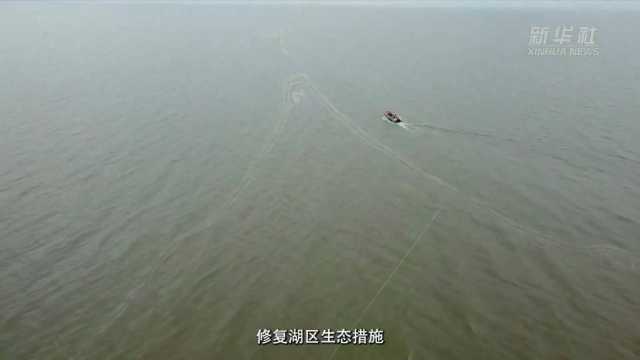 感受发展新脉动|直击巢湖生态之变 感受发展新脉动|直击巢湖生态之变