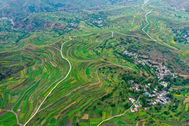 踔厉奋发向未来·二十大精神在基层丨甘肃陇南:产业振兴 山里生金 踔厉奋发向未来·二十大精神在基层丨甘肃陇南:产业振兴 山里生金