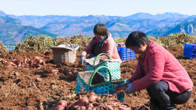 乡村振兴在行动 | 济南南山:为青山绿水镶上金边 乡村振兴在行动 | 济南南山:为青山绿水镶上金边