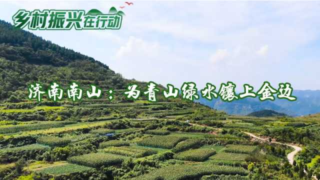 乡村振兴在行动 | 济南南山:为青山绿水镶上金边 乡村振兴在行动 | 济南南山:为青山绿水镶上金边