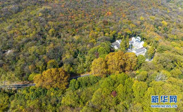 【“飞阅”中国】五彩初冬诗意浓