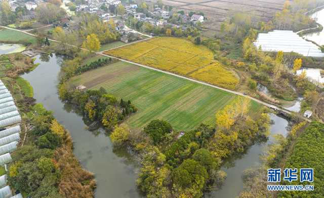 【“飞阅”中国】五彩初冬诗意浓