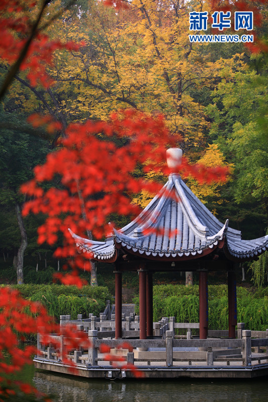 【“飞阅”中国】层林尽染 栖霞胜景宛若彩绘 【“飞阅”中国】层林尽染 栖霞胜景宛若彩绘