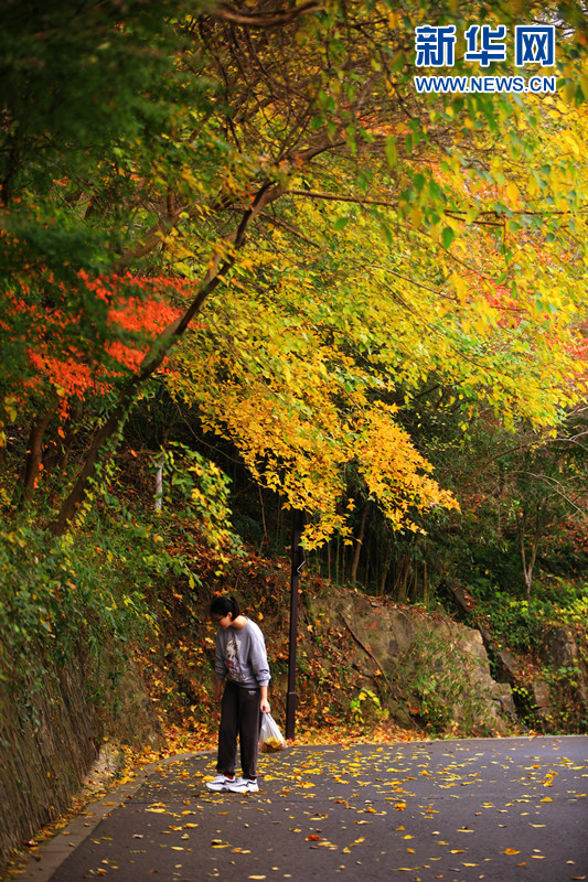 【“飞阅”中国】层林尽染 栖霞胜景宛若彩绘 【“飞阅”中国】层林尽染 栖霞胜景宛若彩绘