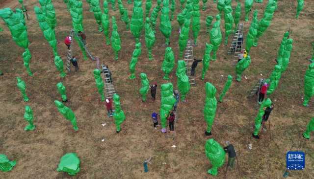 小雪近 农事忙 小雪近 农事忙