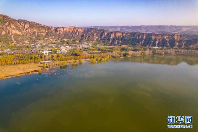 【“飞阅”中国】天鹅来赴约 【“飞阅”中国】天鹅来赴约