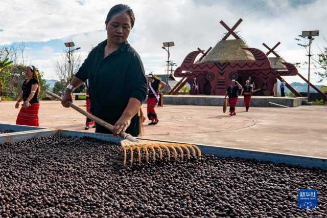 云南:以精品咖啡庄园建设打造产业发展标杆 云南:以精品咖啡庄园建设打造产业发展标杆