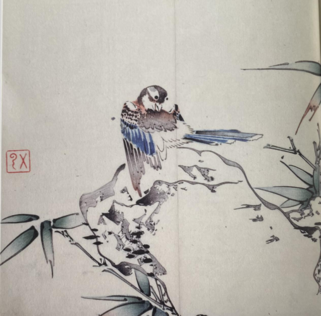 自然观察笔记|冬日协奏曲