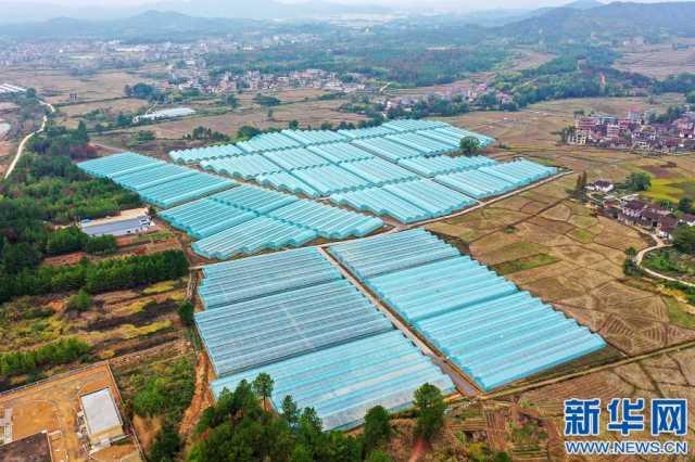 【“飞阅”中国】搭好致富棚 助力乡村兴 【“飞阅”中国】搭好致富棚 助力乡村兴