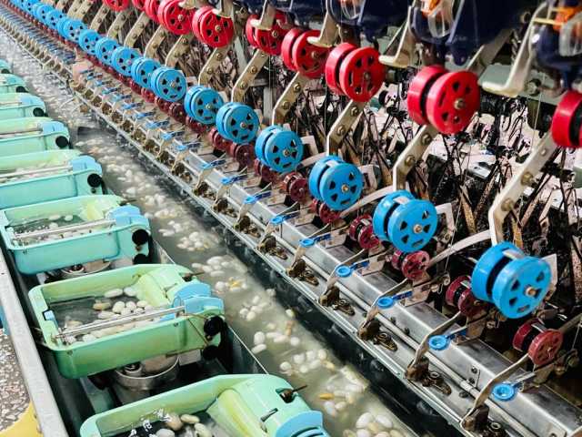 广西河池:“桑蚕+”织就高质量发展新“丝路” 广西河池:“桑蚕+”织就高质量发展新“丝路”