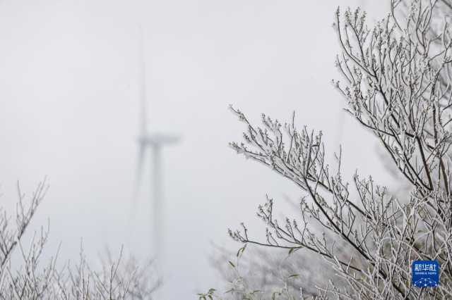 寒潮影响 多地迎来降雪 寒潮影响 多地迎来降雪