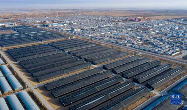 宁夏贺兰：食用菌产业助力乡村振兴