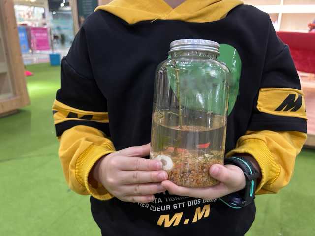 深圳龙华开展环保志愿者绘画活动 深圳龙华开展环保志愿者绘画活动