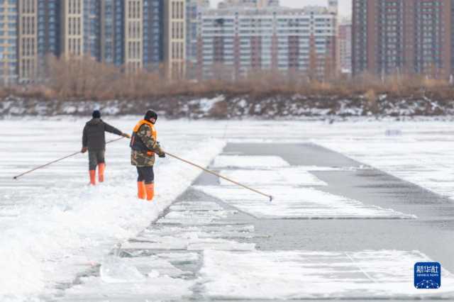 “冰城”哈尔滨进入“采冰季” “冰城”哈尔滨进入“采冰季”