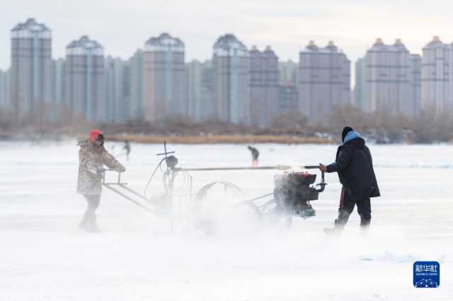 “冰城”哈尔滨进入“采冰季” “冰城”哈尔滨进入“采冰季”