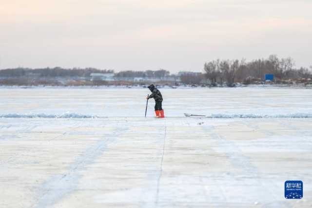 “冰城”哈尔滨进入“采冰季” “冰城”哈尔滨进入“采冰季”