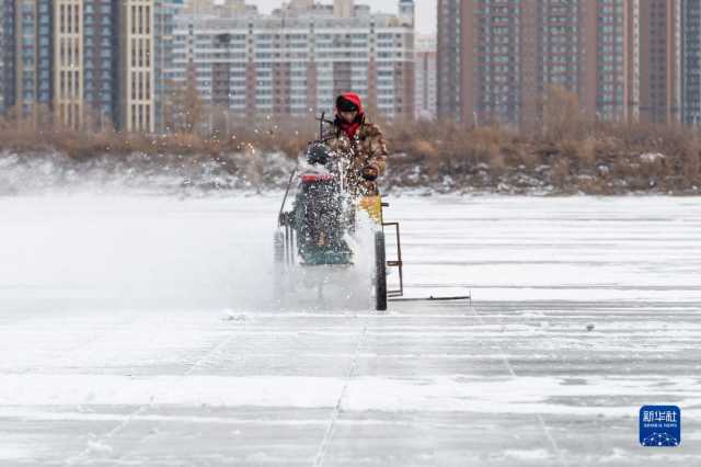 “冰城”哈尔滨进入“采冰季” “冰城”哈尔滨进入“采冰季”