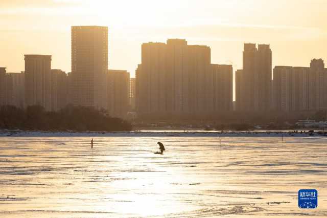 “冰城”哈尔滨进入“采冰季” “冰城”哈尔滨进入“采冰季”
