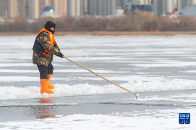 “冰城”哈尔滨进入“采冰季” “冰城”哈尔滨进入“采冰季”