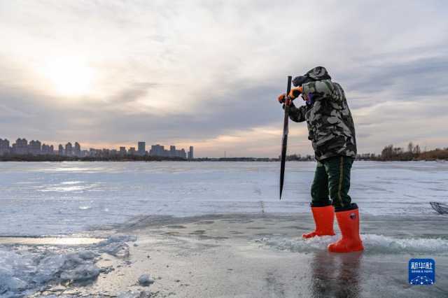 “冰城”哈尔滨进入“采冰季” “冰城”哈尔滨进入“采冰季”