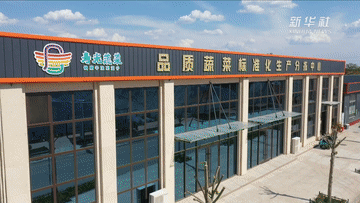 新华全媒+｜“中国蔬菜之乡”寿光蔬菜产销一线见闻